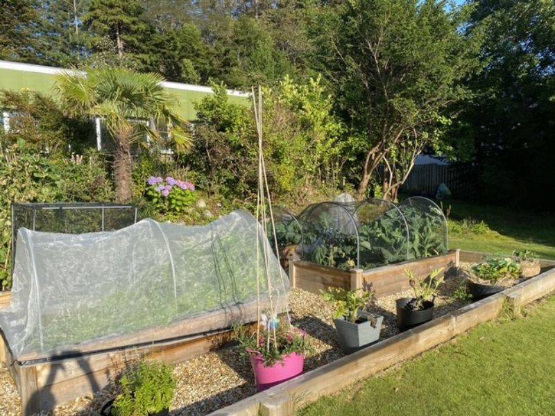 In the Garden With Kathy Edwards Blog 3